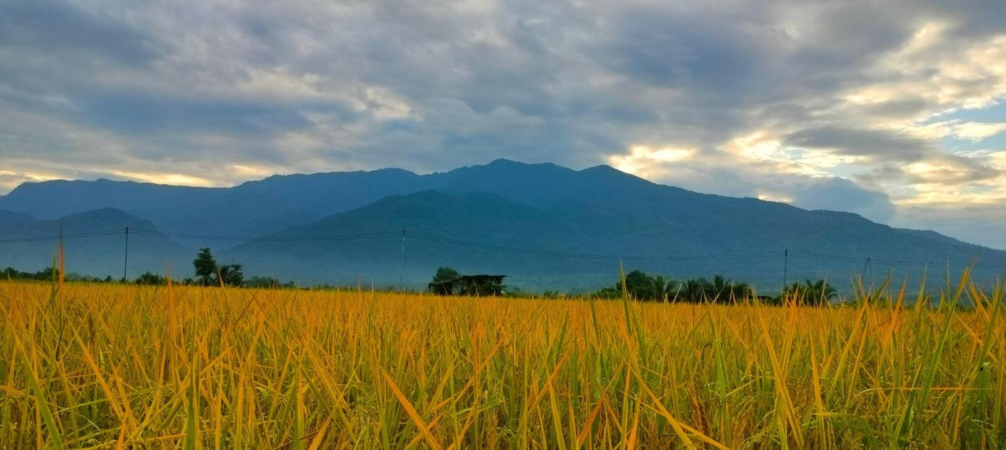 Poonsap Homestay Nan Εξωτερικό φωτογραφία