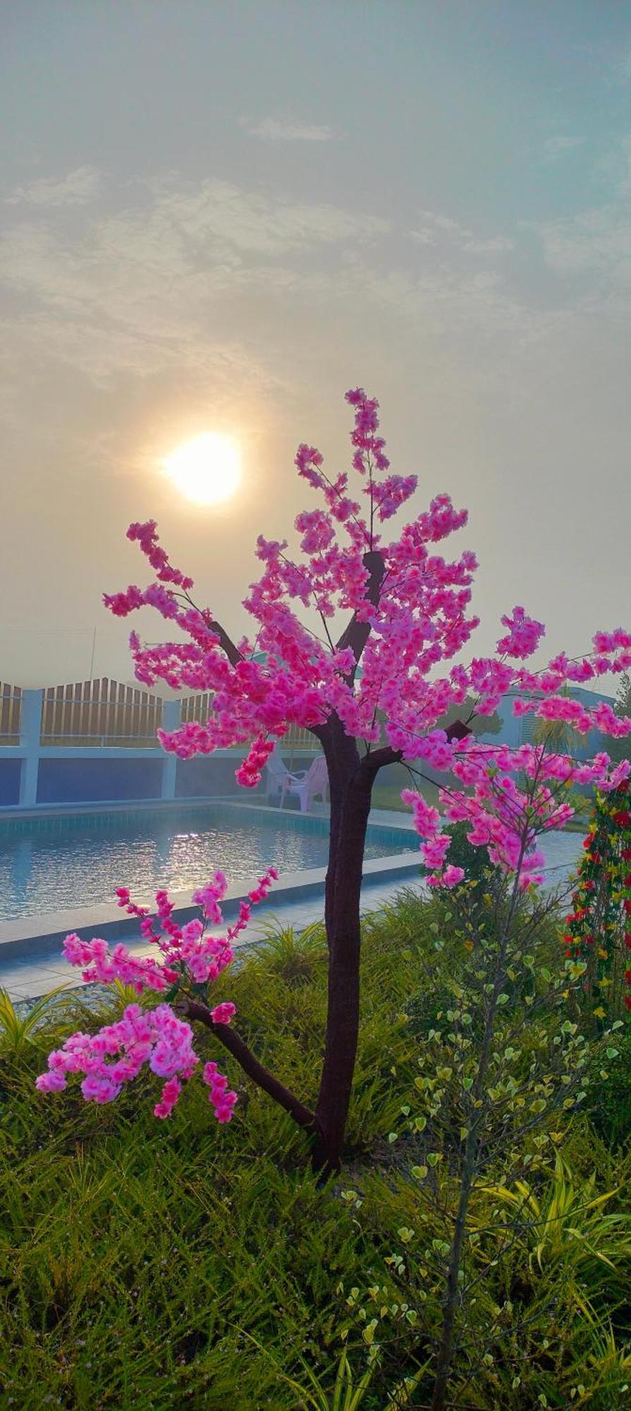 Poonsap Homestay Nan Εξωτερικό φωτογραφία